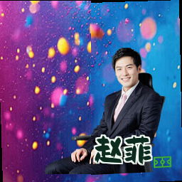 赵菲